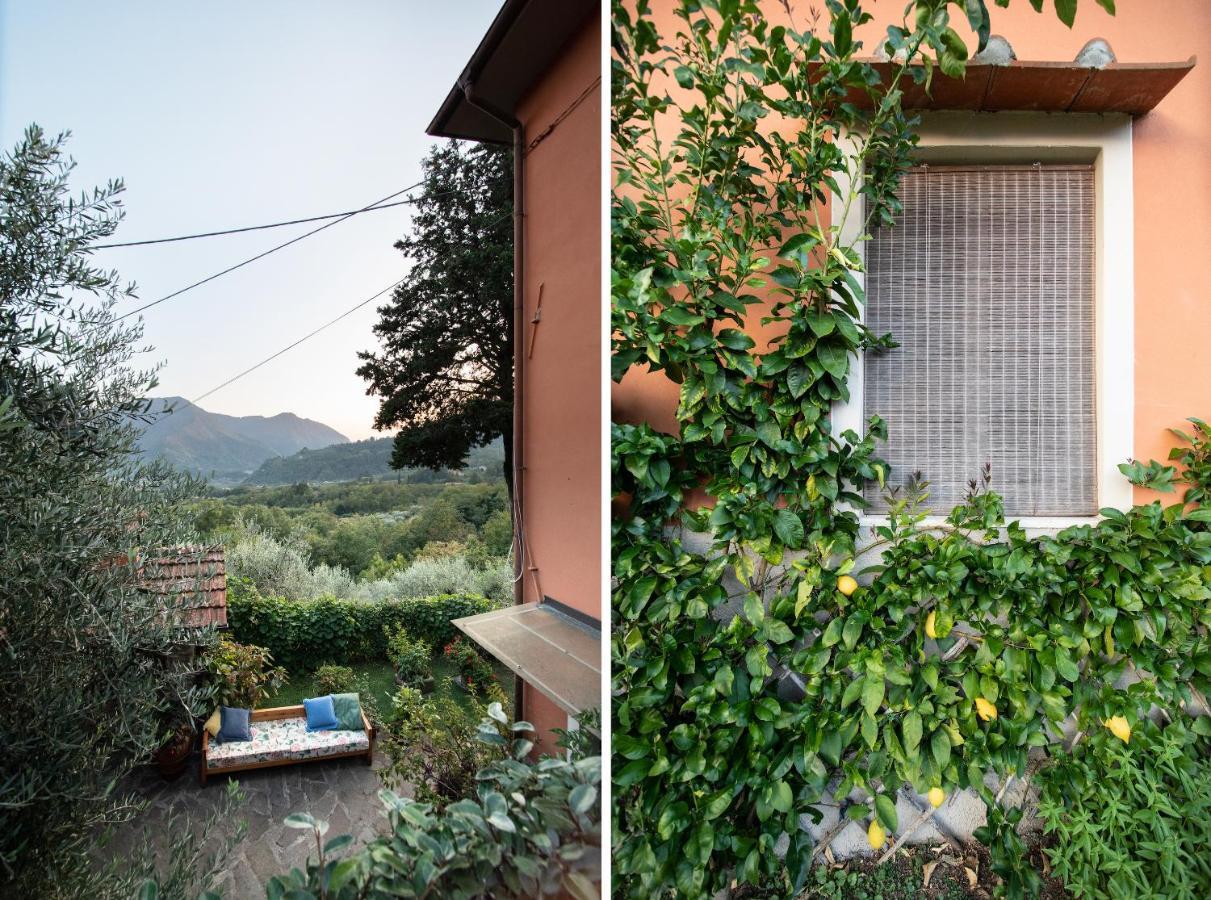 Casetta Di Butia, Gelsomino Apartment Borgo a Mozzano Exterior photo